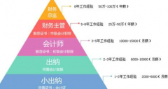 财会的职业分析会计行业人才的培养