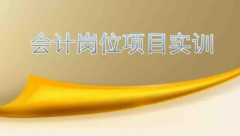 财会分岗实训及学生的会计专业岗位